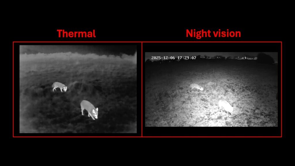 thermal imaging vs night vision