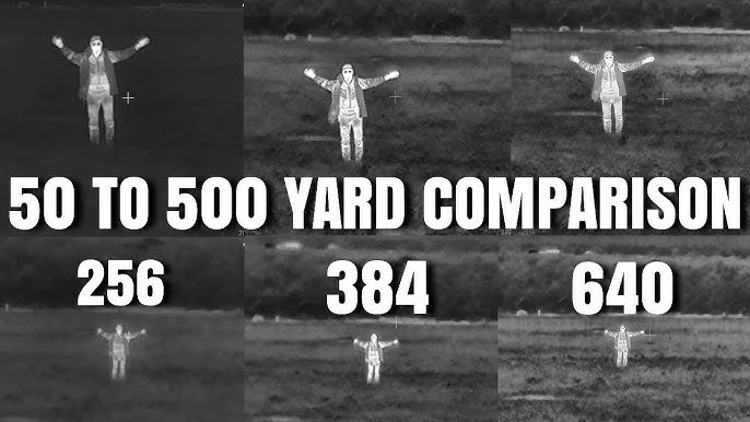 térmico 384 vs 640